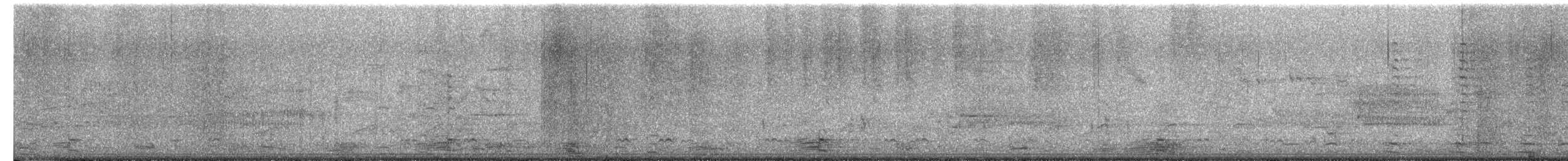 Шилохвіст північний - ML652336866