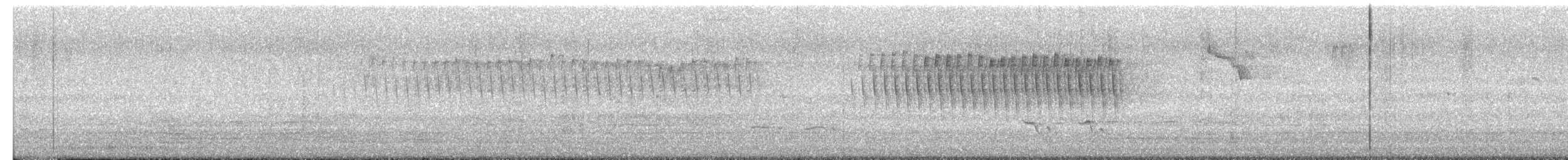 Chingolo Cejiblanco - ML652338929