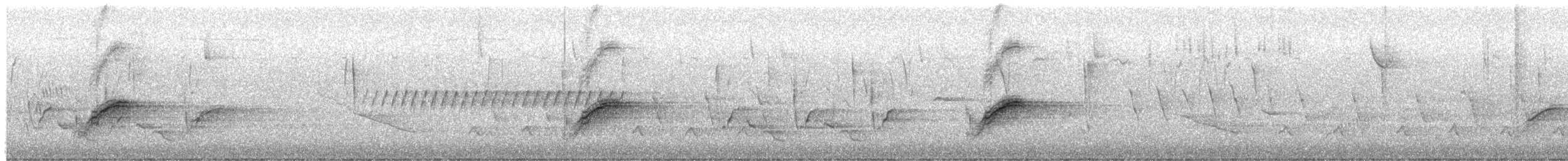 rødsidetovi (erythrophthalmus/canaster) - ML652342944