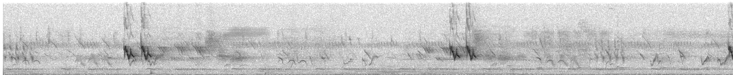 vrabec bělobrvý - ML652345940