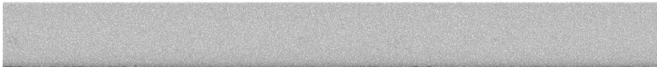 Yellow-rumped Warbler - ML652347546