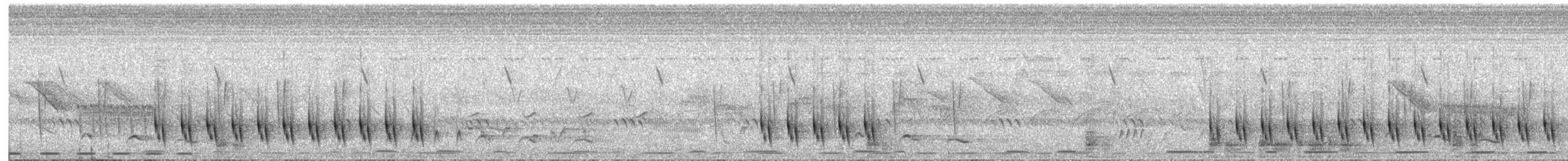Apalis Pechigualdo (Colipardo) - ML652347726