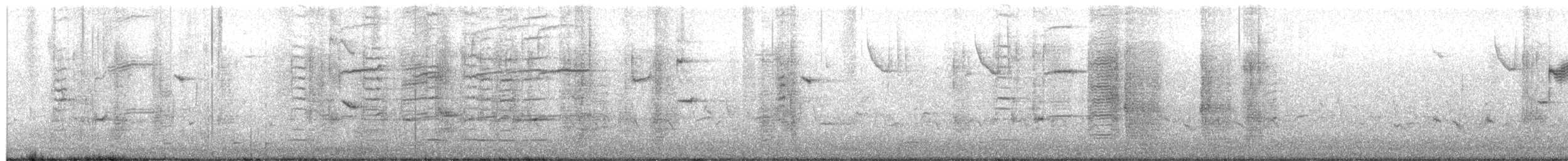 glanstrupial (quiscula/stonei) - ML652347885