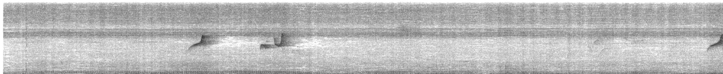 Gray-bellied Spinetail - ML652347965