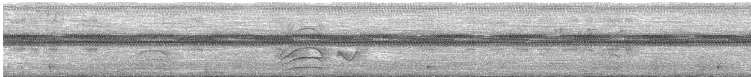 Greenish Elaenia - ML652348063