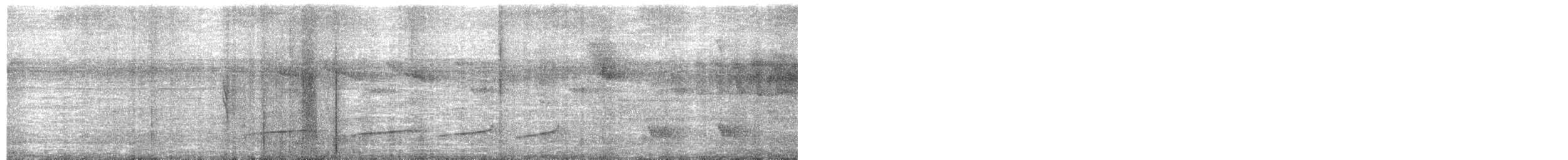 Planalto Tyrannulet - ML652348093