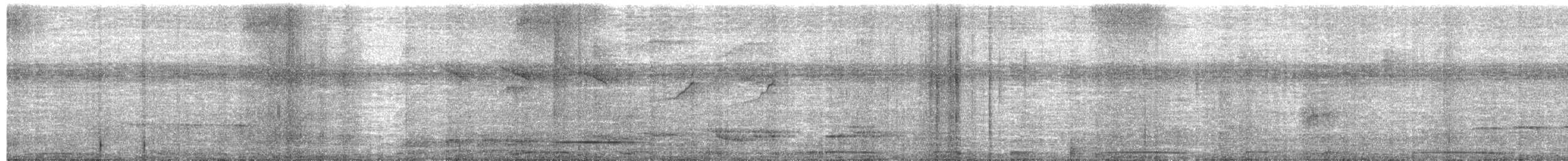 White-necked Thrush - ML652348105