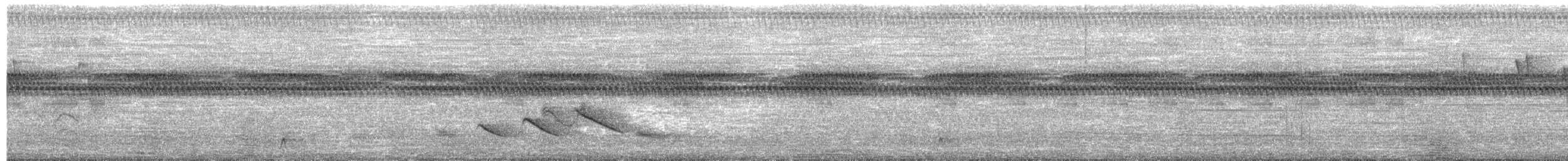 Creamy-bellied Thrush - ML652348111