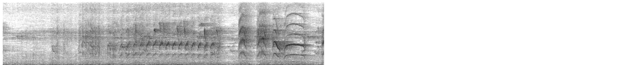 White-spotted Woodpecker - ML652348136