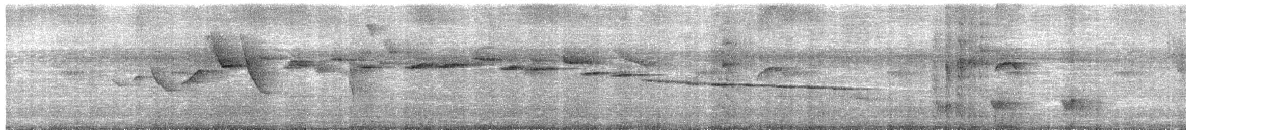 White-browed Warbler - ML652348183