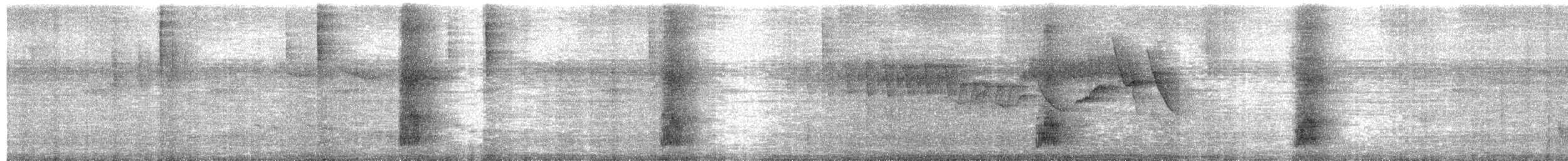 Red-rumped Cacique - ML652348241