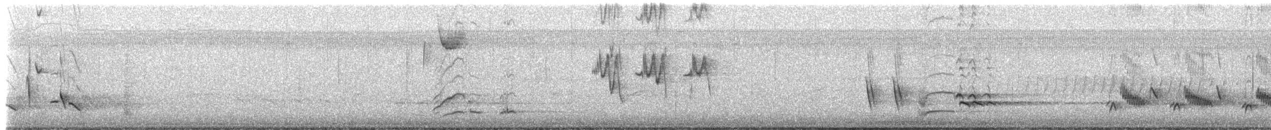 チャイロツグミモドキ - ML652350406