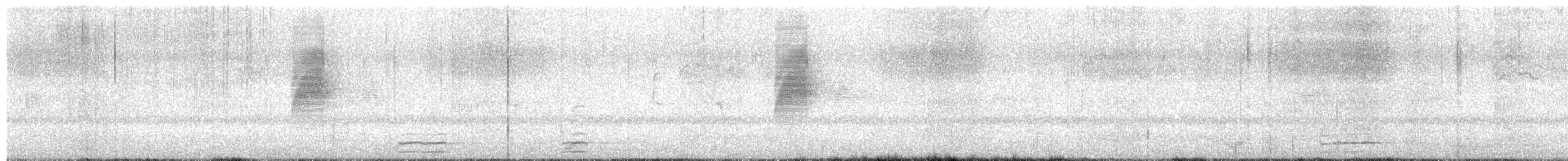 American Woodcock - ML652353405