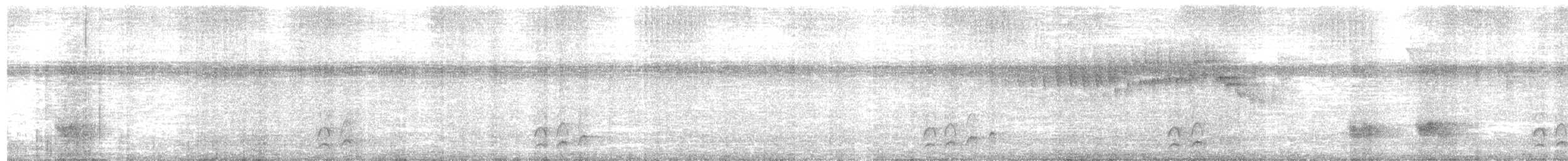 Plain Antvireo - ML652354386