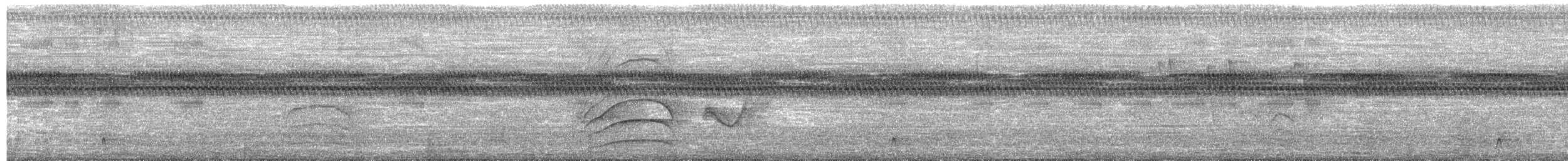 Great Kiskadee - ML652355833