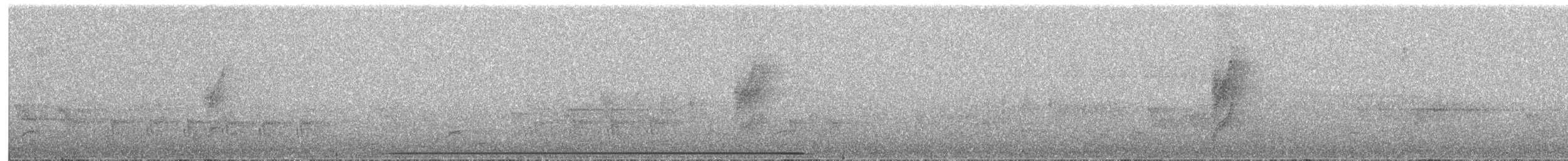 Buff-spotted Flufftail - ML652357206