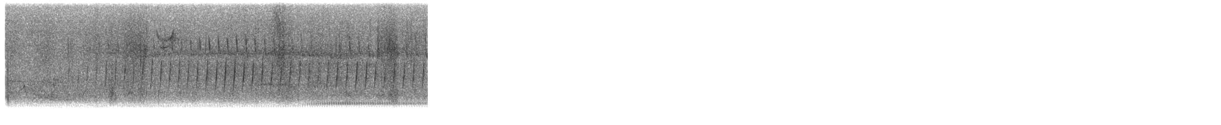 Chingolo Cejiblanco - ML652362436