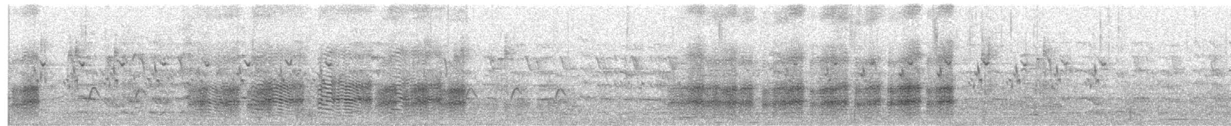 Large Gray Babbler - ML652365804