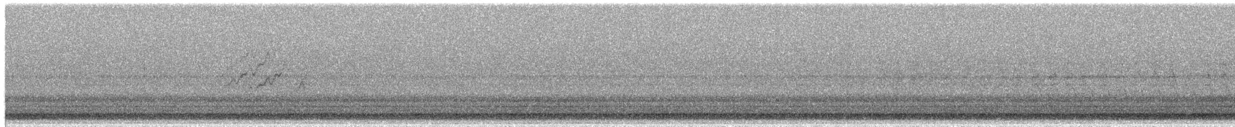 Orman Ördeği - ML652366443