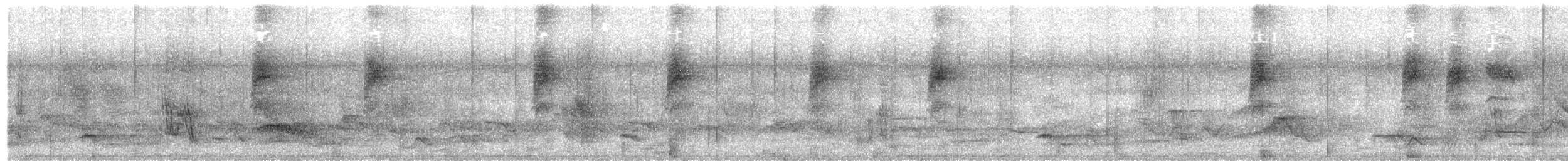 Maskeli Altın Dokumacı - ML652366908