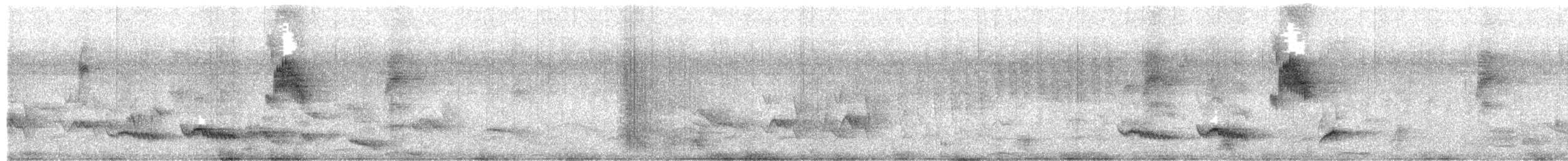 Afrika Çıplak Gözlü Ardıcı - ML652366940