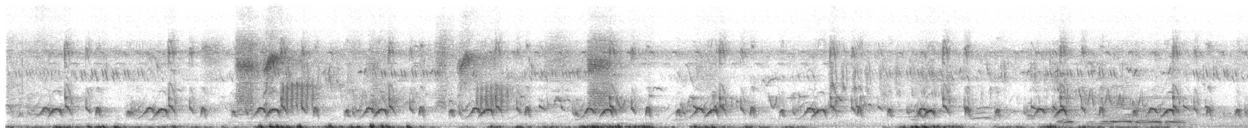 Çil Barbeti - ML652366980