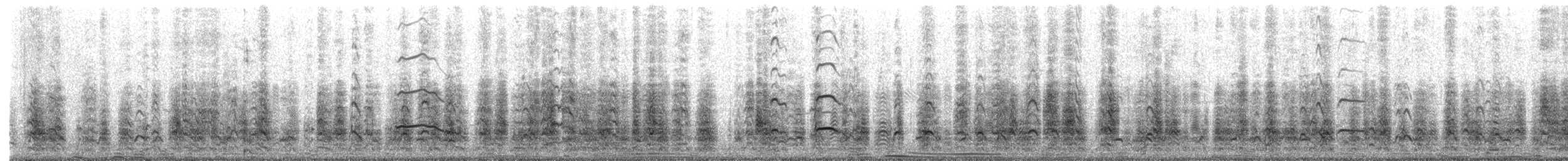 Küçük Karabaş Martı - ML652367011