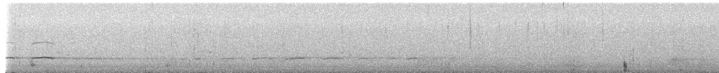 orel bělohlavý - ML652367505