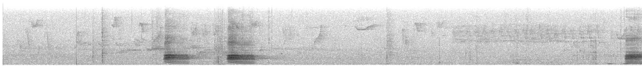 vrána tlustozobá (ssp. levaillantii) - ML652367554