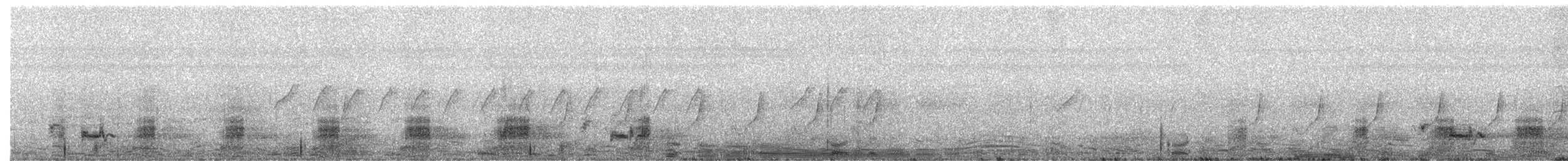 kachna skvrnozobá - ML652367607