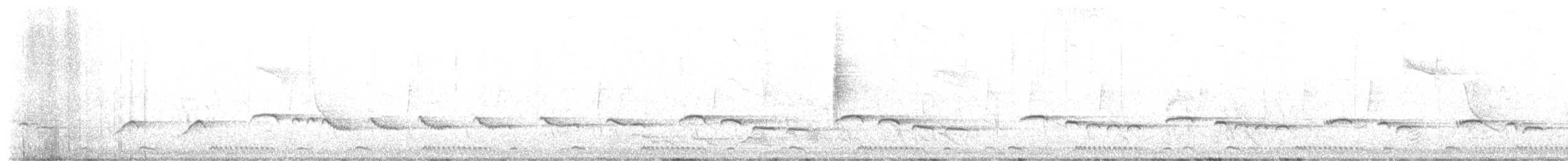 Alzacola Bigotudo - ML652371893