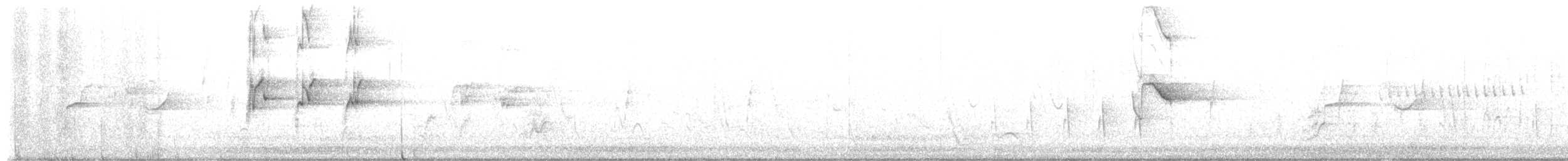 Lorito de Meyer - ML652371896