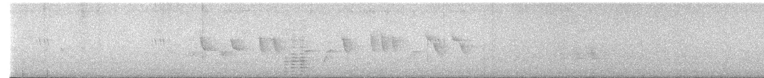 Cálao Trompetero - ML652372020