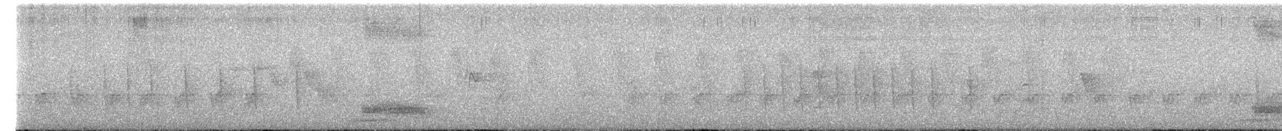 Bubú Tropical - ML652372789