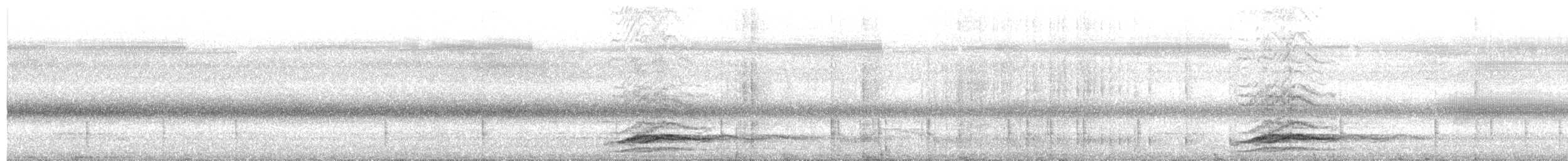 Pied Currawong - ML652373308