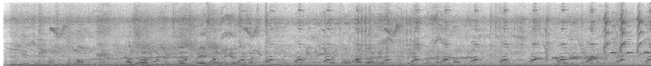 White-breasted Waterhen - ML652373563