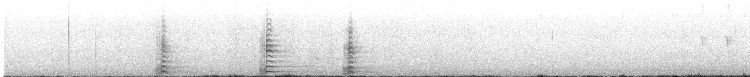 American Red Squirrel - ML652375425