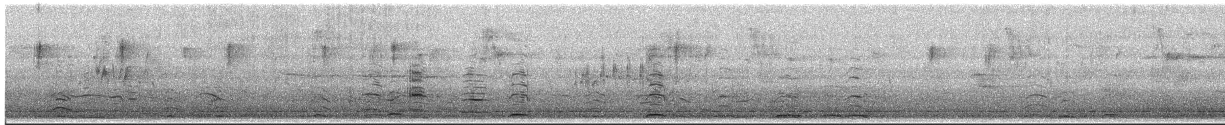 Zwergschwan - ML652376446
