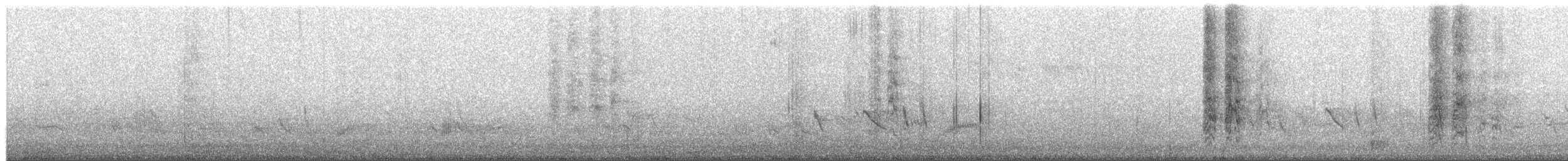 Braunwangensittich - ML652376492