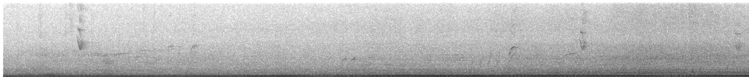 Karibiksaltator - ML652376508