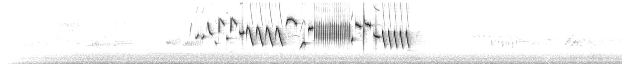 Zaunkönig (indigenus) - ML652376516