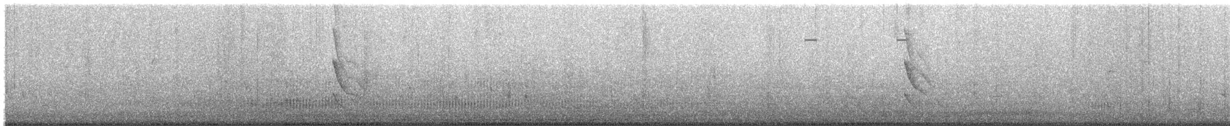 Weißbauch-Dickichtschlüpfer - ML652376519