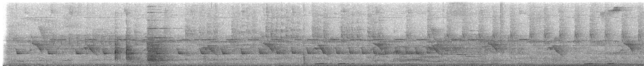 Diademmotmot - ML652376625