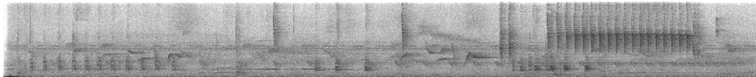 Gilbdrossel - ML652376635