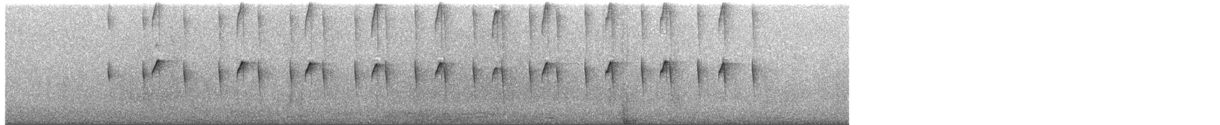 Kurzschwanz-Todityrann - ML652377140