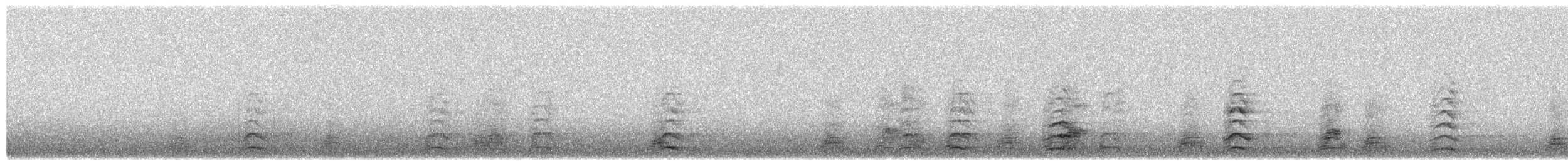 Schnee-/Zwergschneegans - ML652377323