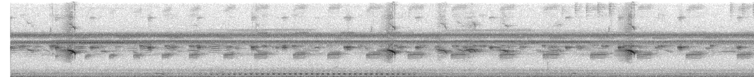 Puerto Rican Owl - ML652382224