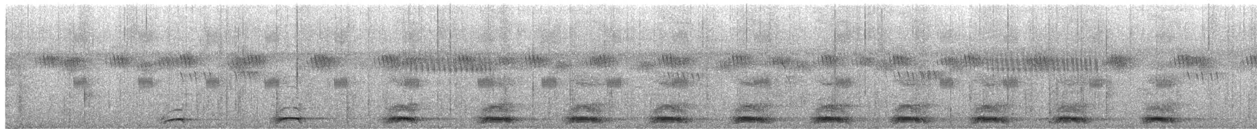 Turaco de Schalow - ML652382372