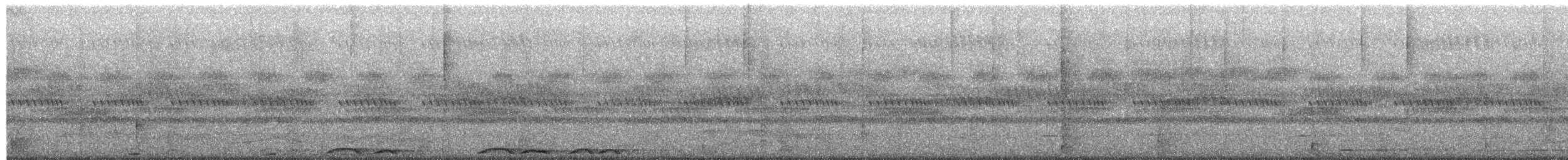 Cárabo Africano - ML652382384