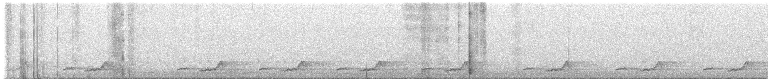 Дрімлюга канадський - ML652384907